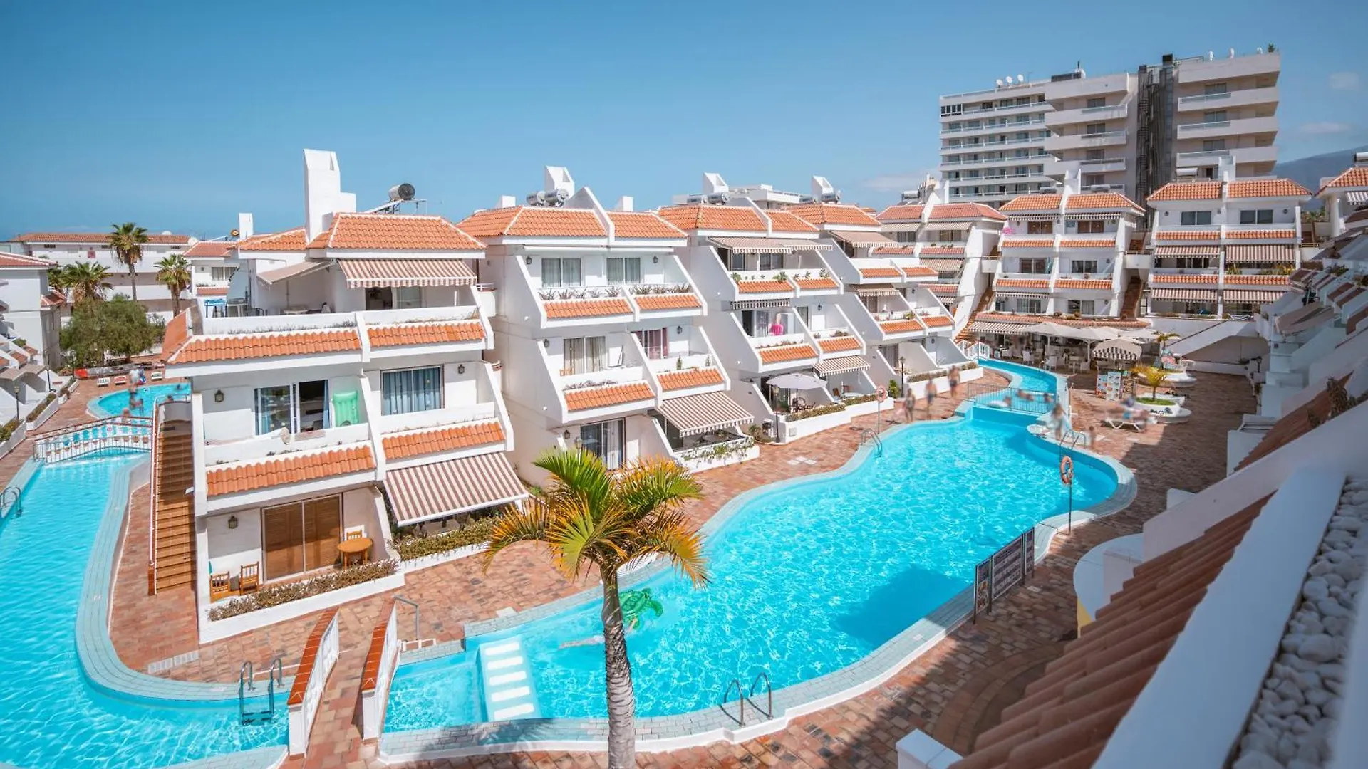 Apartment Las Floritas Las Americas contacts